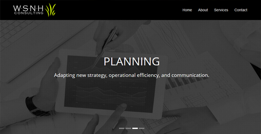 WSNH Consulting Website Design & Development